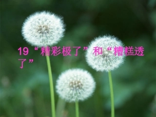 《19“精彩极了”和“糟糕透了”》PPT课件