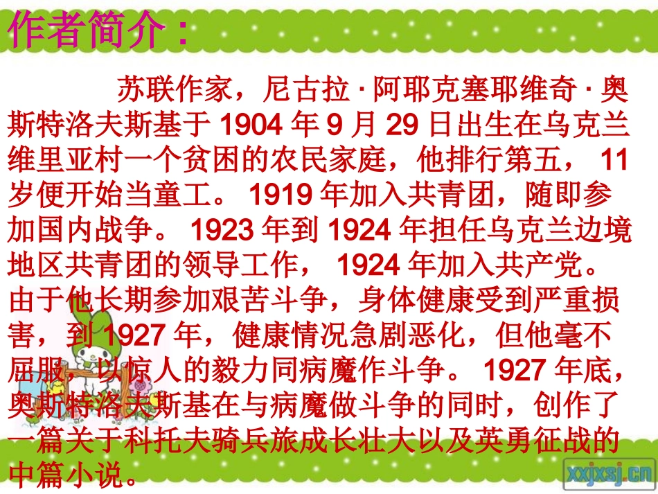 《钢铁是怎样炼成的》名著导读_第3页
