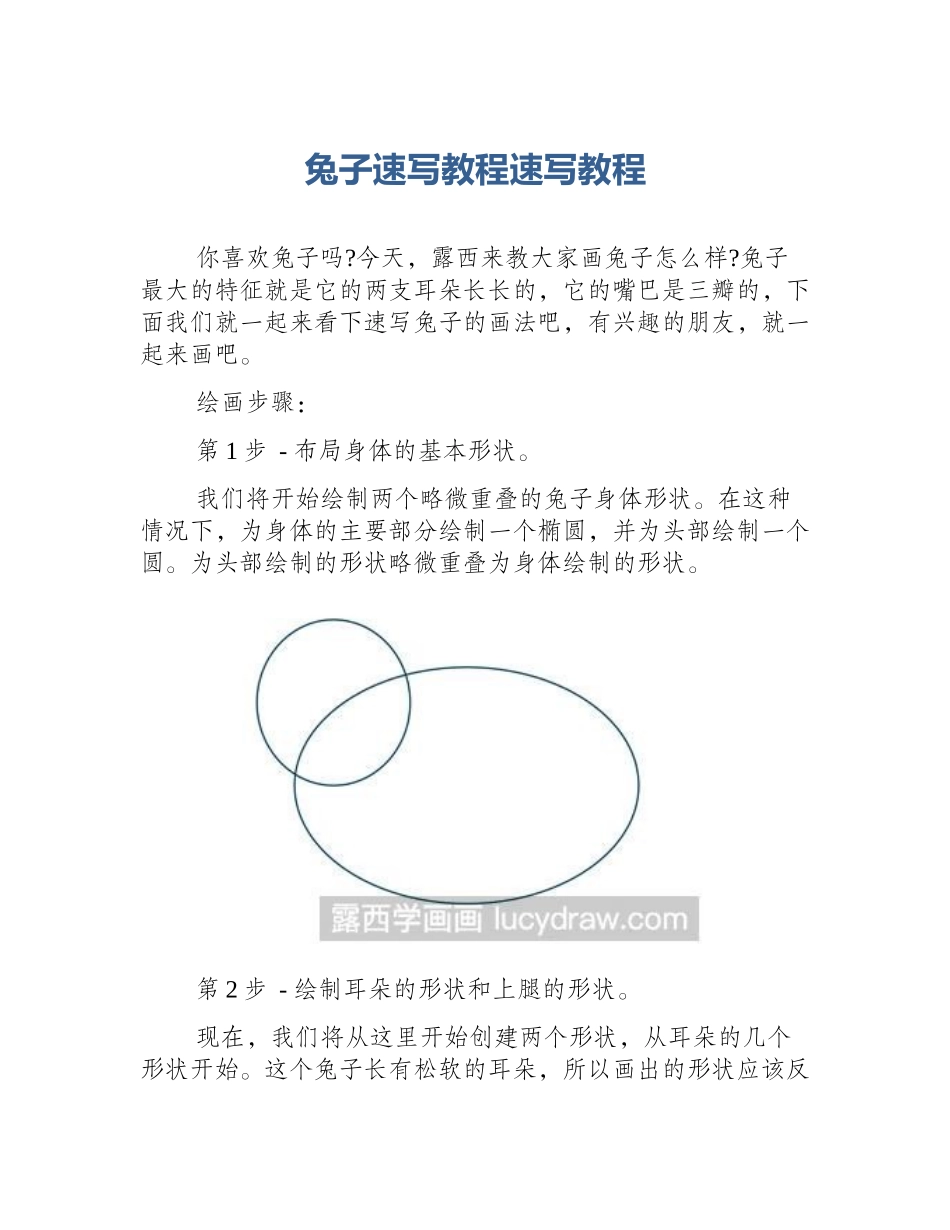 兔子速写教程速写教程_第1页