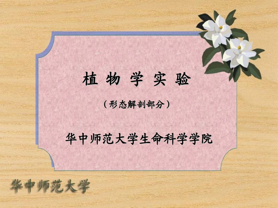 实验一 显微镜的构造和使用方法_第1页