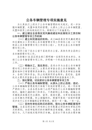 公务车辆管理专项实施意见