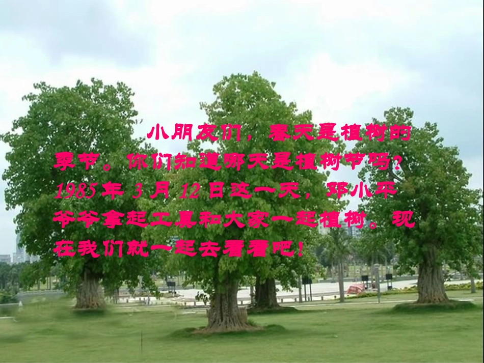 邓小平爷爷植树MicrosoftPowerPoint演示文稿_第3页