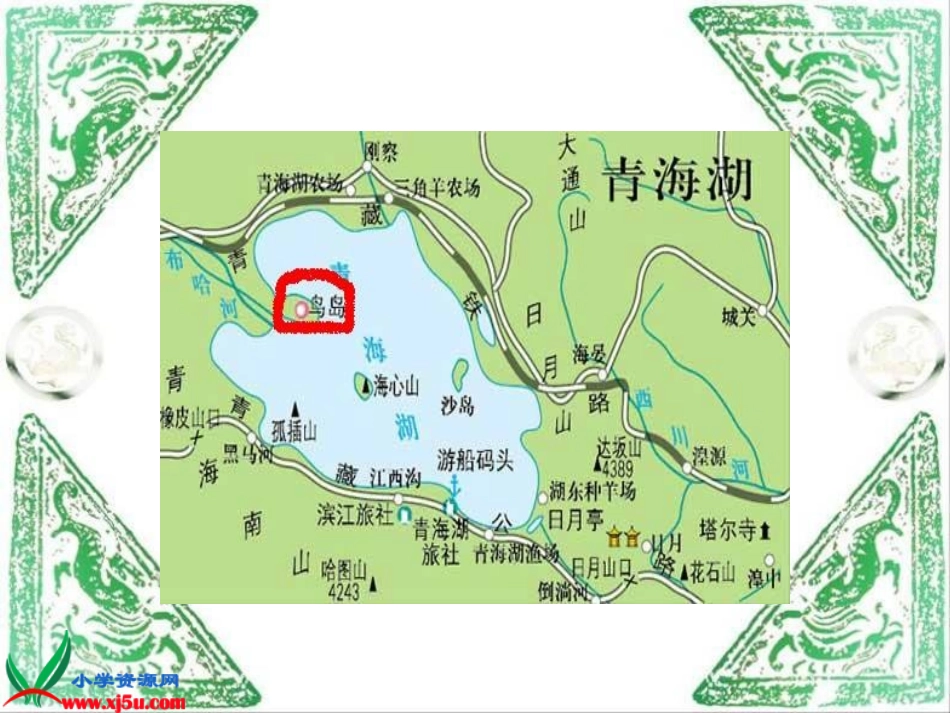 《鸟岛_1》PPT课件_第2页