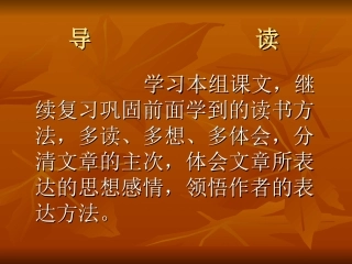 小学五年级上册语文第二十一课圆明园的毁灭PPT课件2