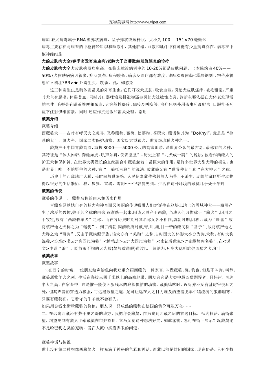 世界十大最凶猛犬类_第2页