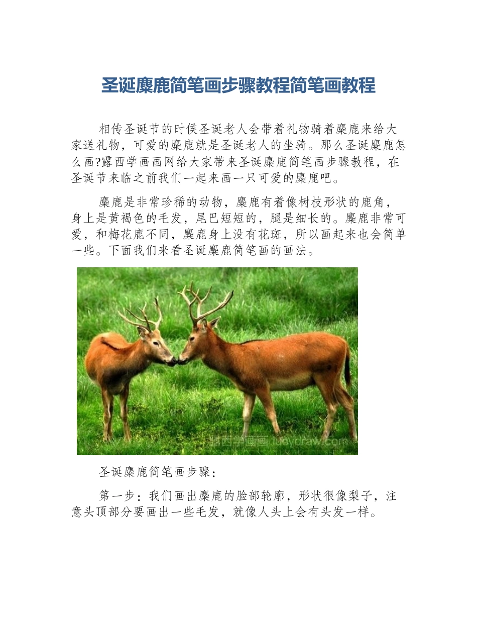 圣诞麋鹿简笔画步骤教程简笔画教程_第1页