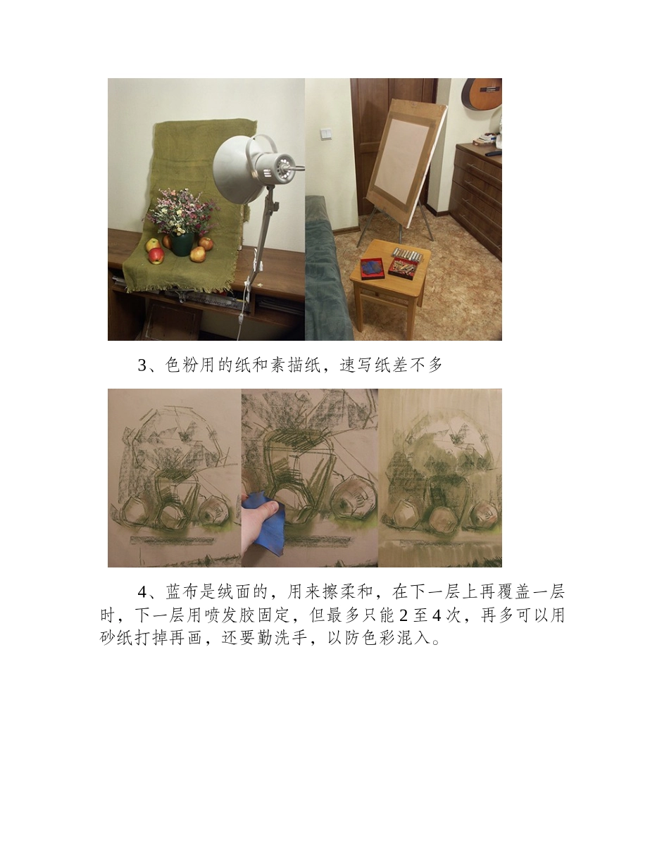 色粉画花卉技法教程步骤详解色粉画教程1_第2页