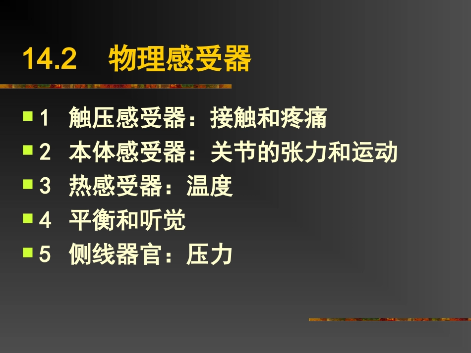 普通生物学 第14章 感觉器官与感觉_第3页