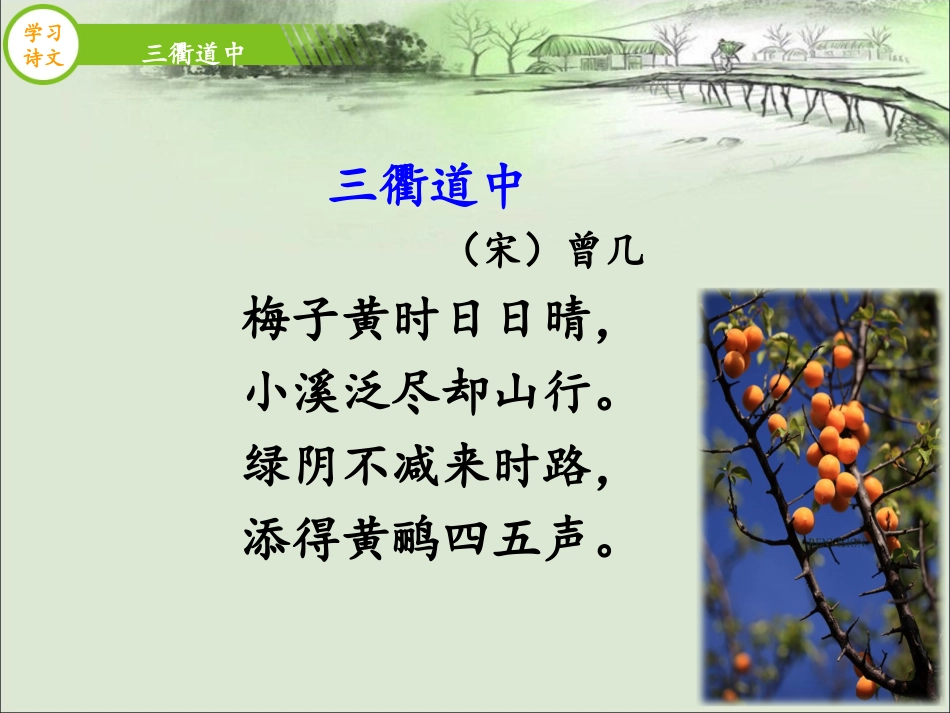 三衢道中课件_第2页