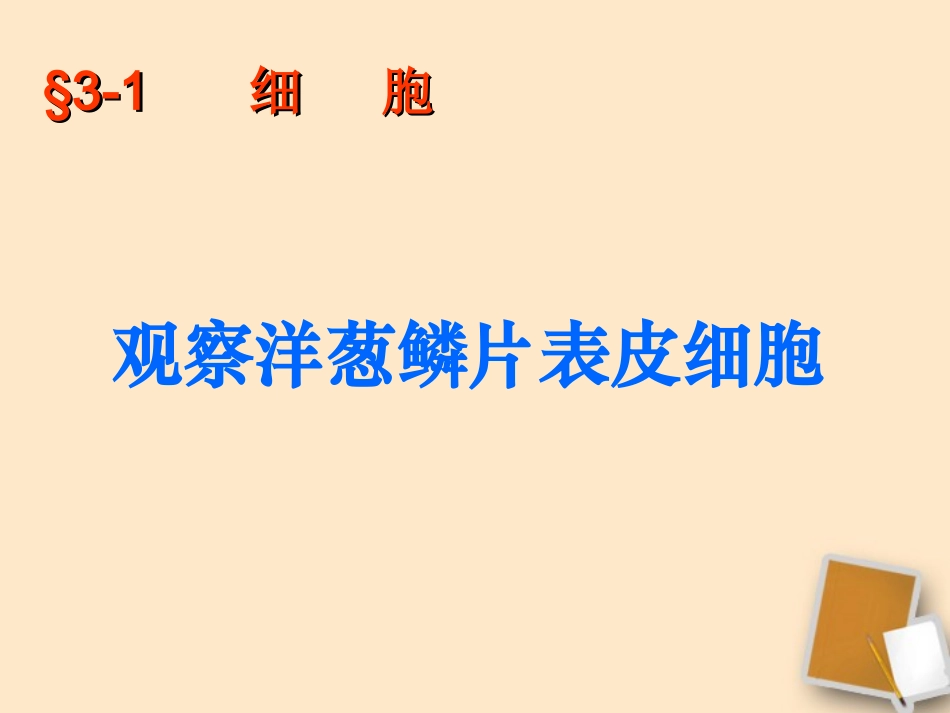 七年级生物上册 观察洋葱鳞片表皮细胞课件 北京课改版_第1页