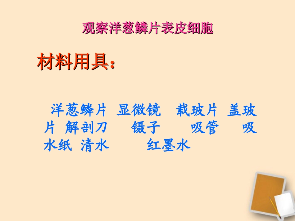 七年级生物上册 观察洋葱鳞片表皮细胞课件 北京课改版_第3页