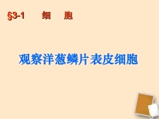 七年级生物上册 观察洋葱鳞片表皮细胞课件 北京课改版