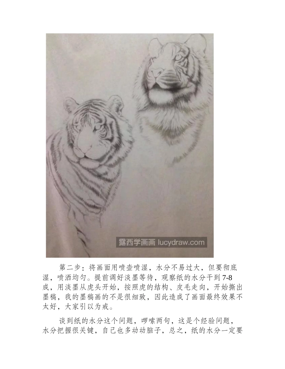 森林猛虎怎么画_超级详细的老虎工笔画图文分享工笔画教程_第2页