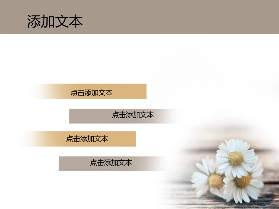 淡雅菊花模板_第3页