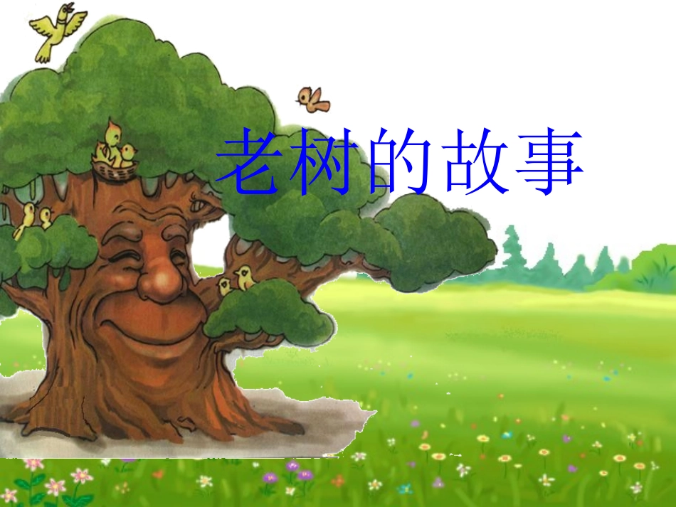 《老树的故事》课件000_第1页