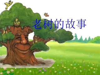 《老树的故事》课件000
