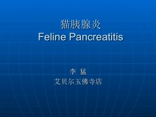 猫胰腺炎：李猛