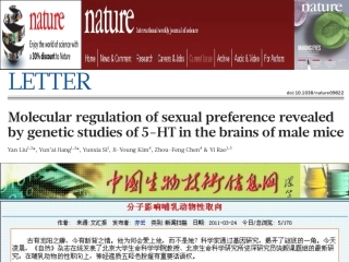 实验三 骨骼肌收缩特性和收缩形式的观测