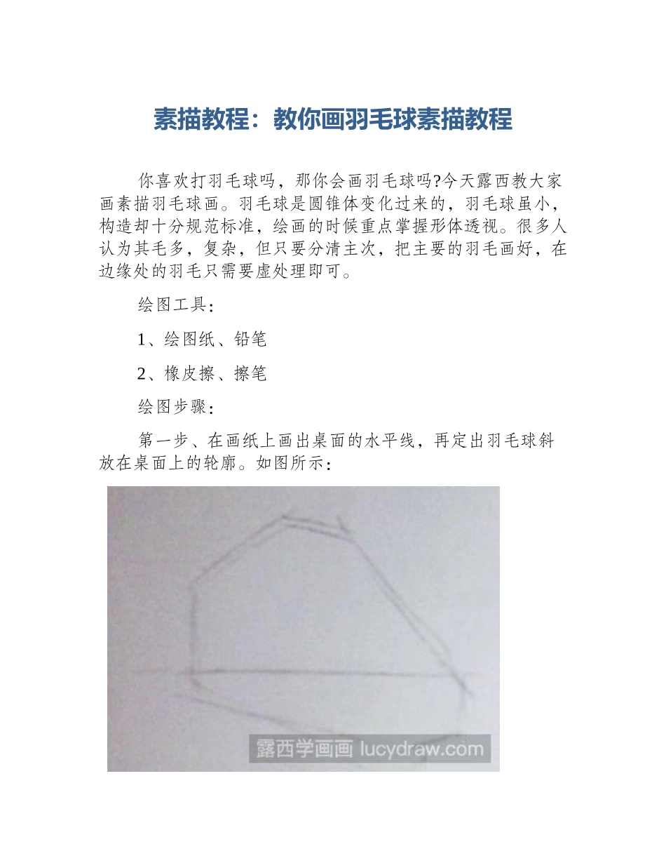 素描教程：教你画羽毛球素描教程_第1页