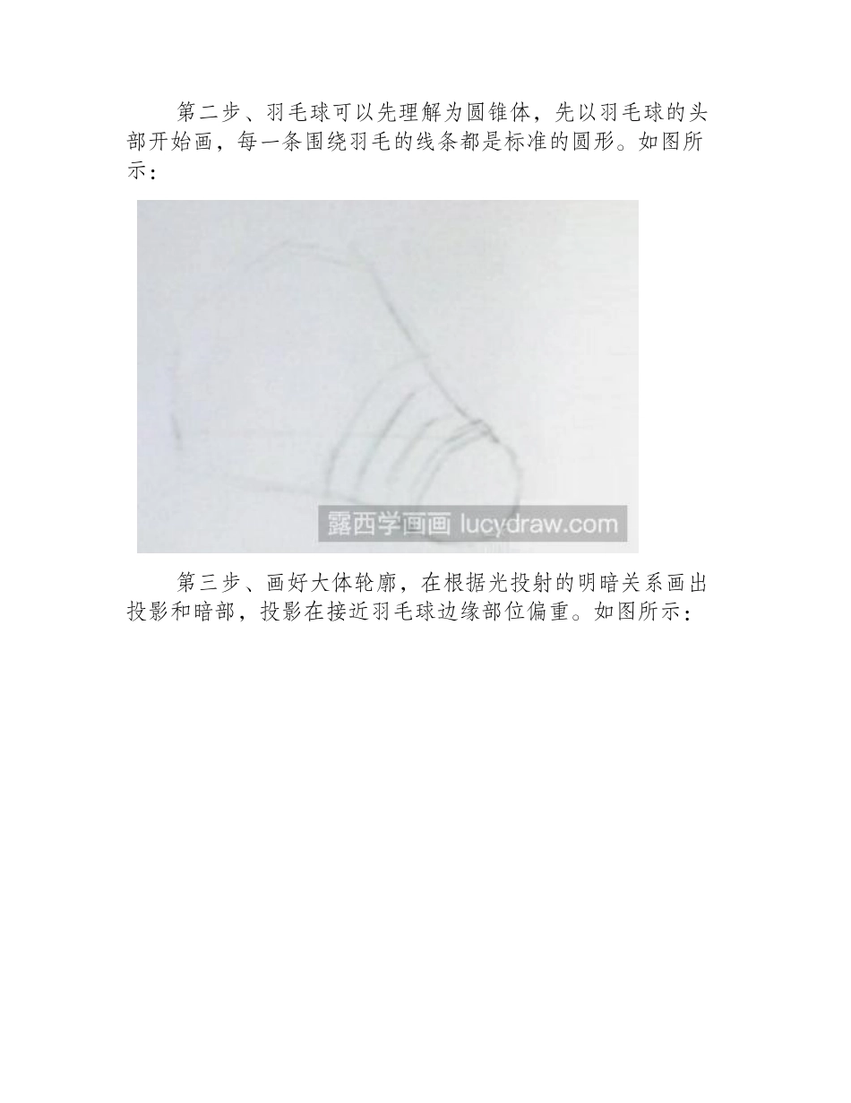 素描教程：教你画羽毛球素描教程_第2页