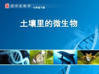 土壤里的微生物