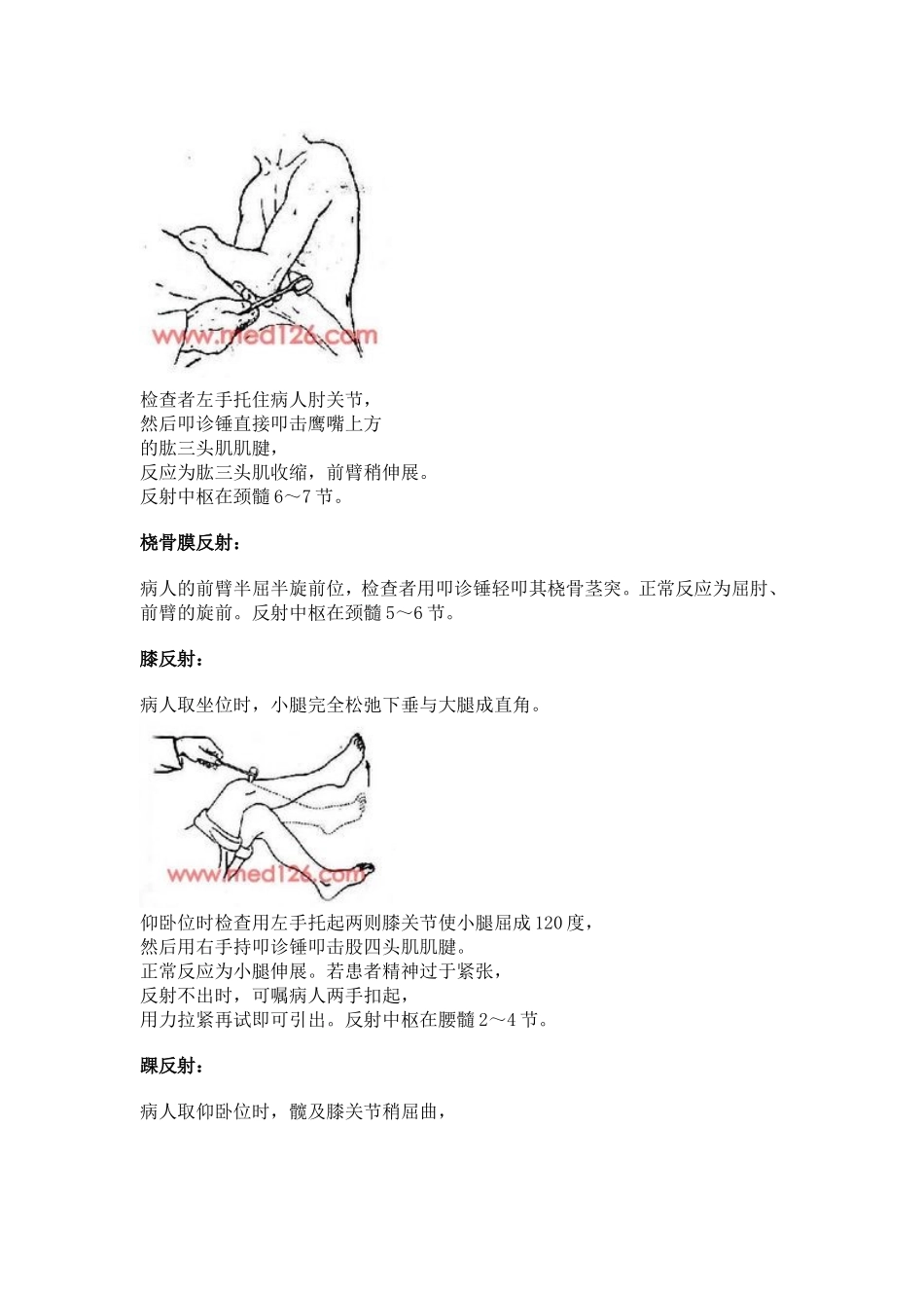 生理反射特指_第3页