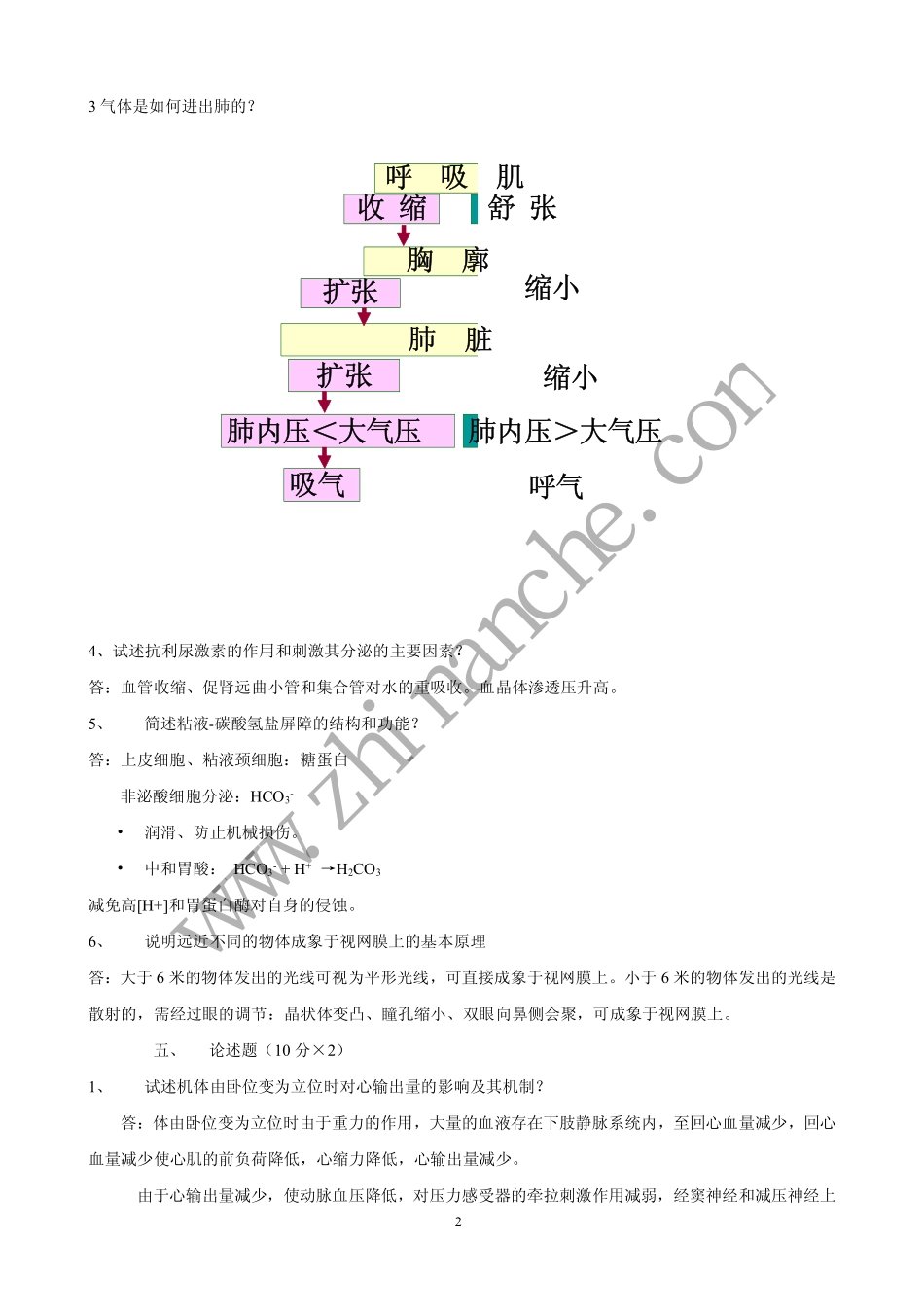 泸州医学院生理学试题A(含答案)_第2页