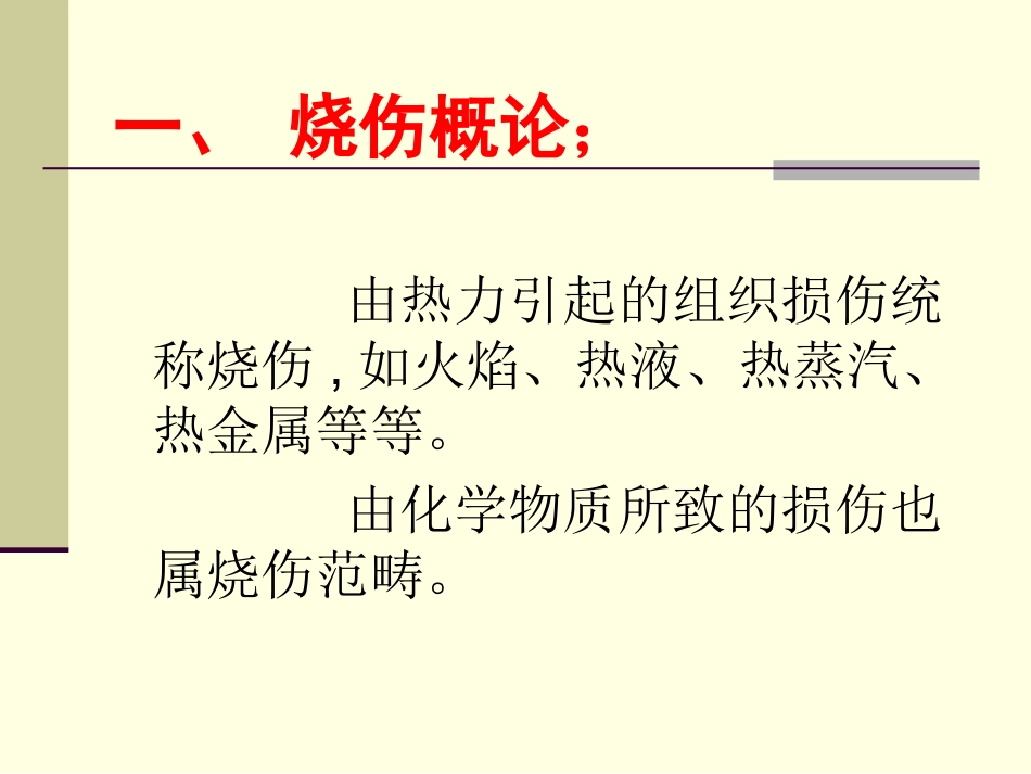 烧伤知识讲座—刘长文_第2页
