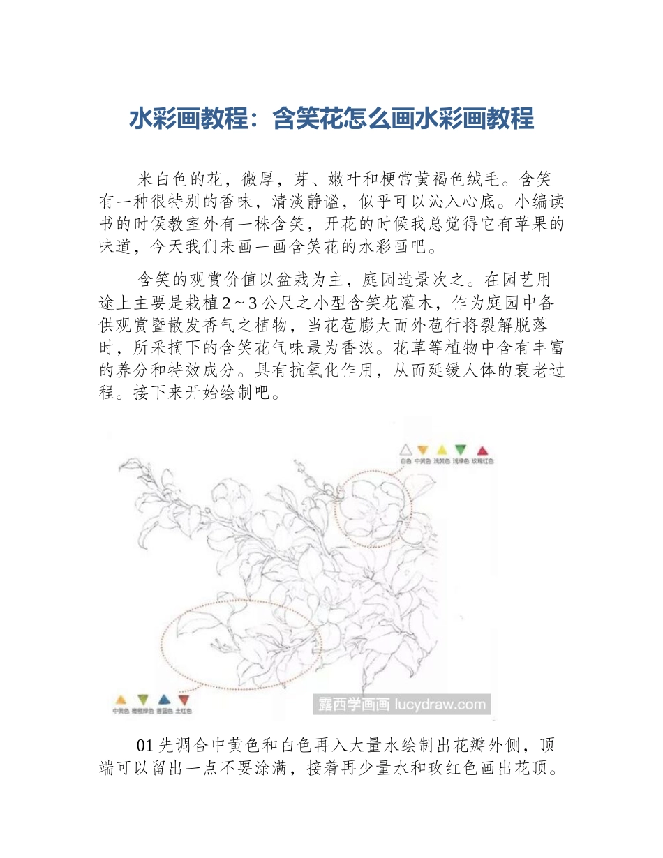 水彩画教程：含笑花怎么画水彩画教程_第1页