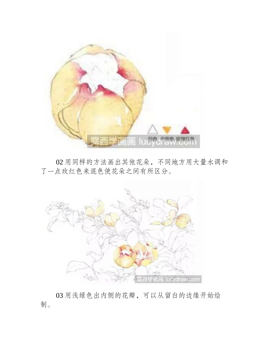 水彩画教程：含笑花怎么画水彩画教程_第2页