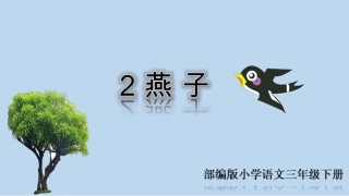 燕子教学课件 (2)