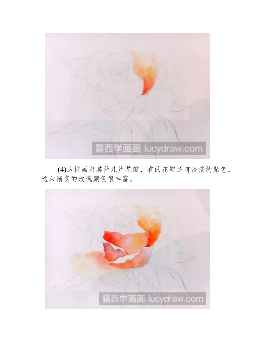 水彩画玫瑰步骤教程水彩画教程_第2页
