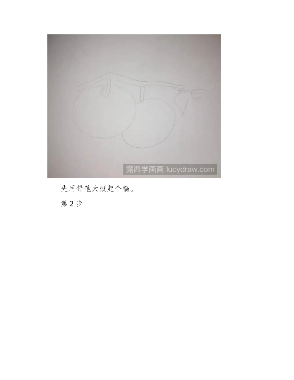 西红柿彩铅画教程彩铅画教程_第2页