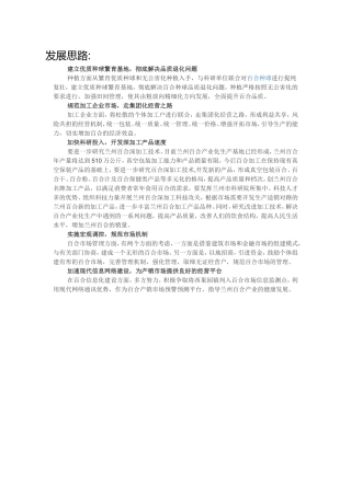 兰州百合发展思路