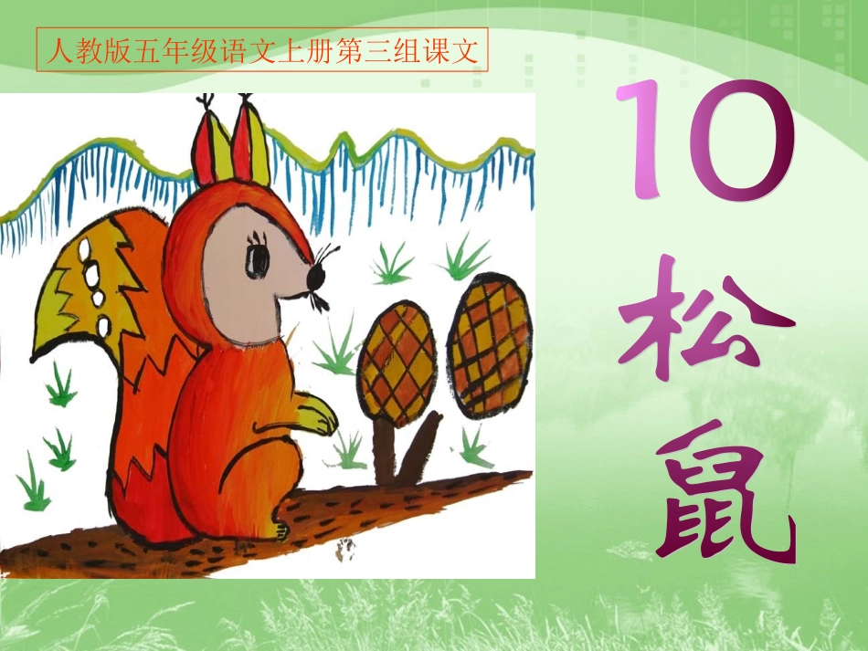 人教版五年级语文上册第三组《10松鼠》PPT课件_第2页