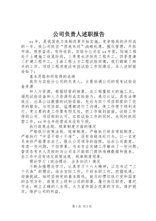 公司负责人述职报告