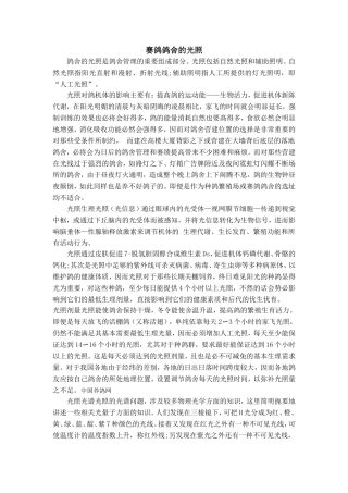 赛鸽鸽舍的光照