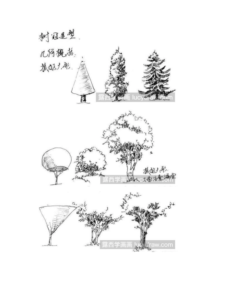 速写树的画法介绍速写教程4_第2页