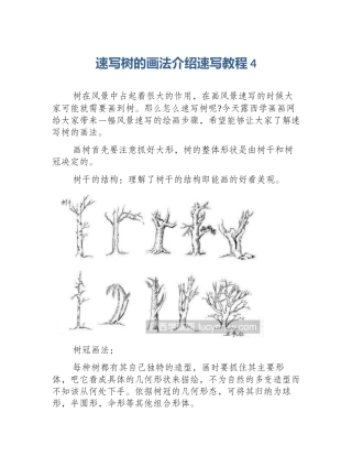 速写树的画法介绍速写教程4