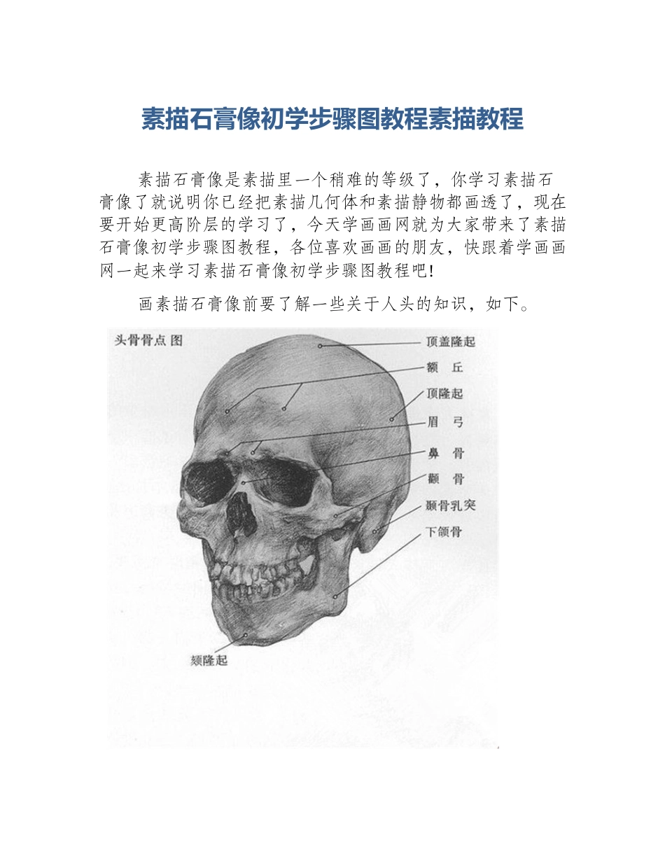 素描石膏像初学步骤图教程素描教程_第1页