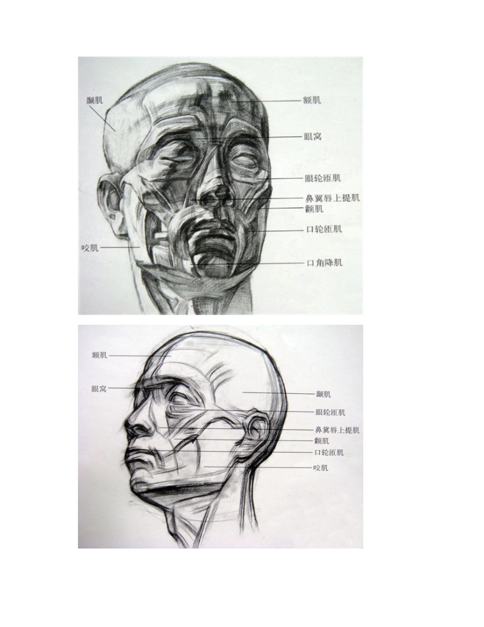 素描石膏像初学步骤图教程素描教程_第2页