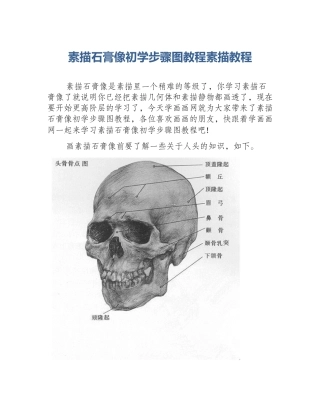素描石膏像初学步骤图教程素描教程