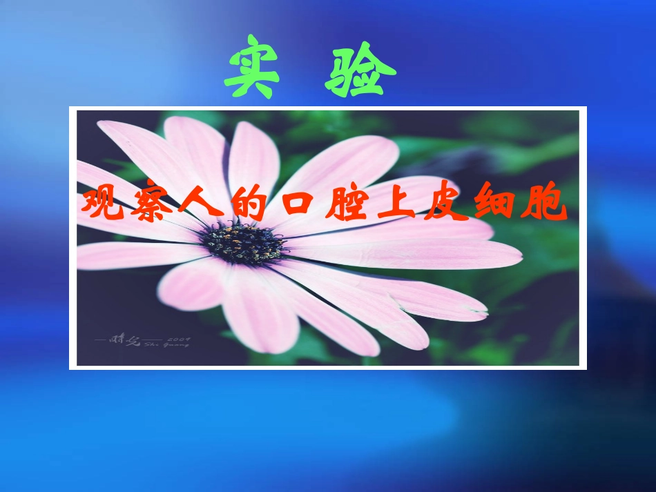 实验   观察人的口腔上皮细胞_第3页