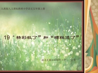 《精彩极了和糟糕透了》