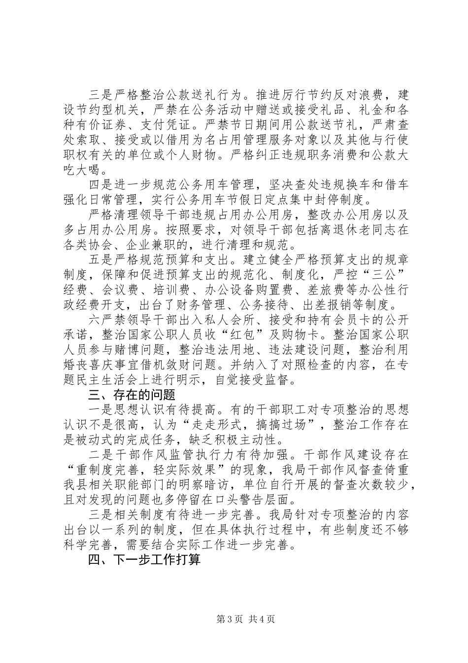 农业局XX年专项治理工作总结_第3页