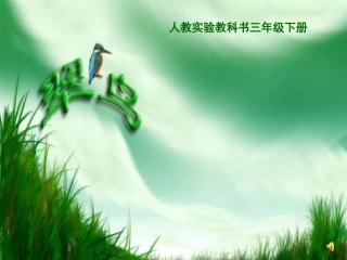 《翠鸟》课件【12页】