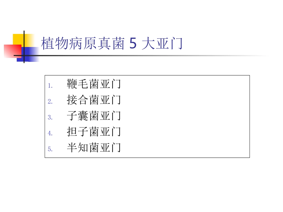 蔬菜病原真菌分类_第2页