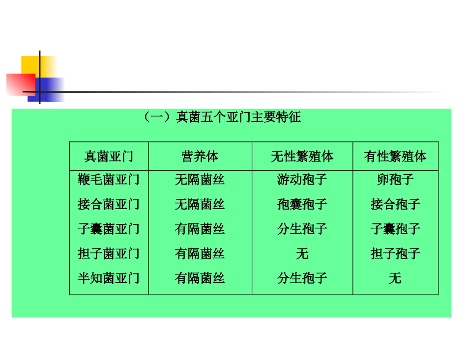 蔬菜病原真菌分类_第3页