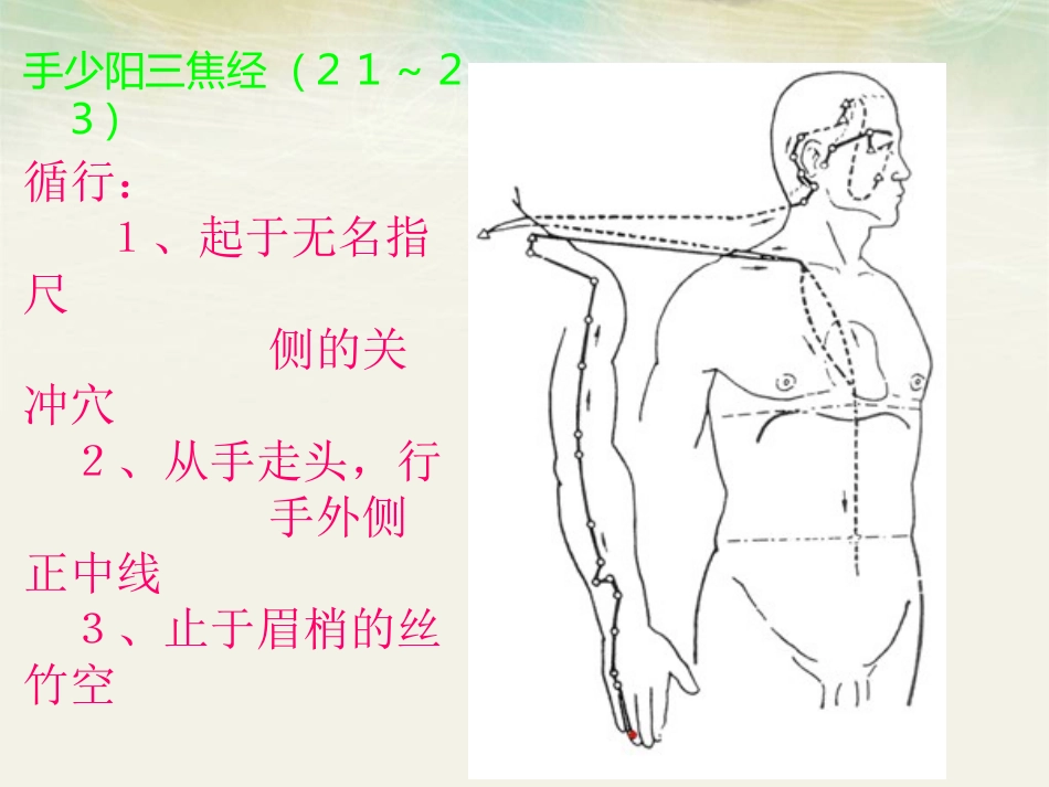手少阳三焦经45分钟_第1页