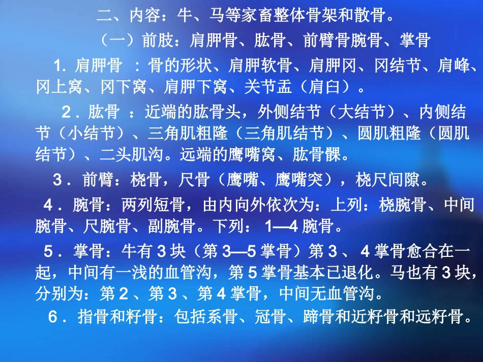 实习四、四肢骨_第2页